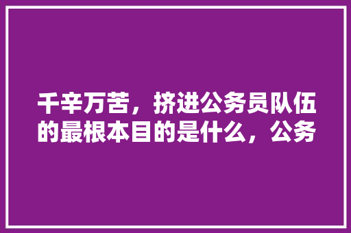 千辛万苦，挤进公务员队伍的最根本目的是什么，公务员考试题156611 公考知识