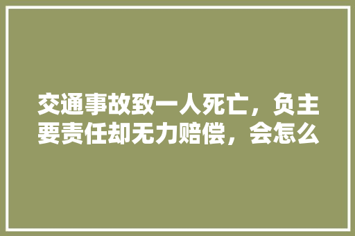 交通事故致一人死亡，负主要责任却无力赔偿，会怎么判刑，公务员责任能力考试题及答案 教育科普
