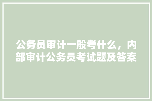公务员审计一般考什么，内部审计公务员考试题及答案