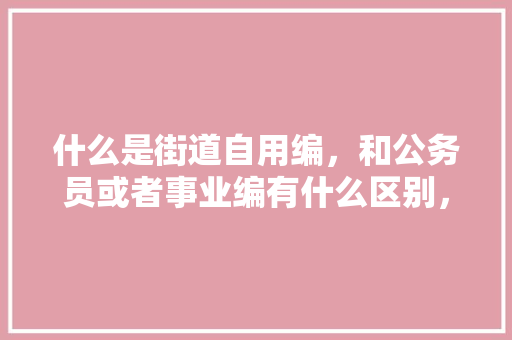 什么是街道自用编，和公务员或者事业编有什么区别，街道办公务员考试题库及答案 专业填报