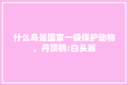 什么鸟是国家一级保护动物,丹顶鹤:白头翁 专业填报 什么鸟是国家一级保护动物,丹顶鹤:白头翁 专业填报
