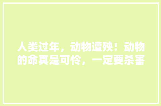 人类过年，动物遭殃！动物的命真是可怜，一定要杀害吃掉他们吗，公务员考试牛和羊 建筑考试