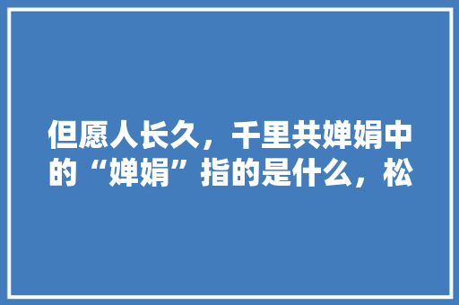 但愿人长久，千里共婵娟中的“婵娟”指的是什么，松滋市公务员考试题库及答案 专业填报