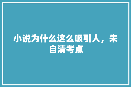 小说为什么这么吸引人，朱自清考点 教育科普