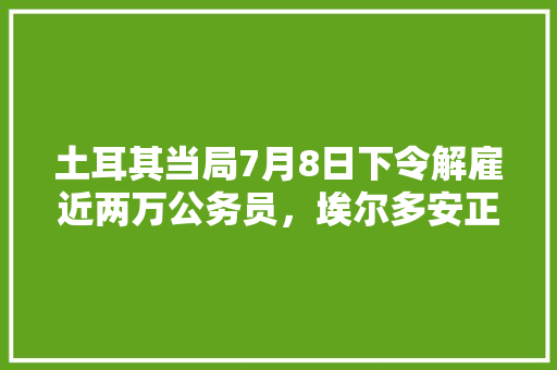 土耳其当局7月8日下令解雇近两万公务员，埃尔多安正在把土耳其带向哪个方向，以色列公务员考试题目及答案 教育科普