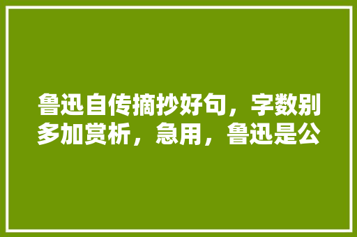 鲁迅自传摘抄好句，字数别多加赏析，急用，鲁迅是公务员 公考知识
