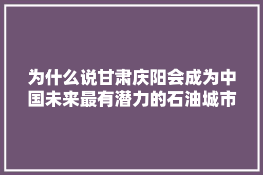为什么说甘肃庆阳会成为中国未来最有潜力的石油城市，宁夏隆德县公务员考试题及答案