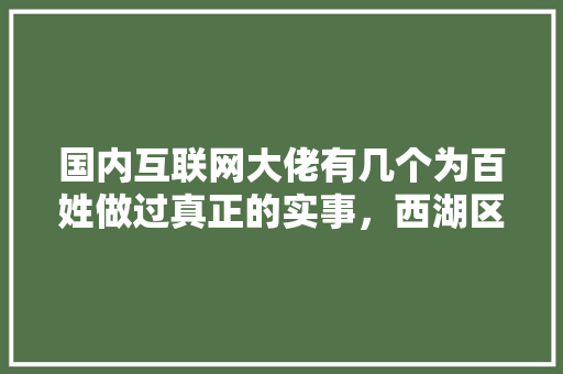 国内互联网大佬有几个为百姓做过真正的实事，西湖区公务员招聘 公考知识