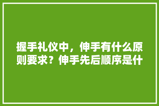 握手礼仪中，伸手有什么原则要求？伸手先后顺序是什么，公务员握手礼仪 公考知识
