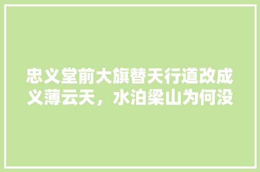 忠义堂前大旗替天行道改成义薄云天，水泊梁山为何没了家国情怀，梁山公务员考试题及答案