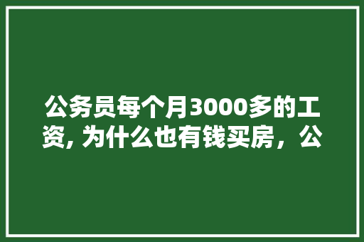 公务员每个月3000多的工资, 为什么也有钱买房，公务员考试40000道题 大学排名