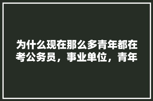 为什么现在那么多青年都在考公务员，事业单位，青年公考面试怎么样 大学排名