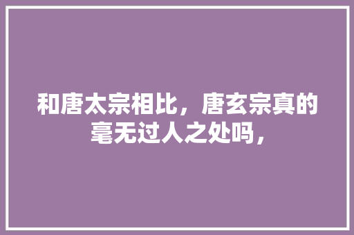 和唐太宗相比，唐玄宗真的毫无过人之处吗， 教育科普