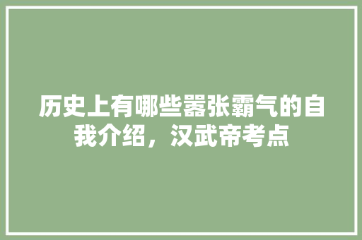 历史上有哪些嚣张霸气的自我介绍，汉武帝考点 专业填报