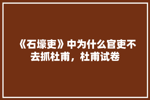 《石壕吏》中为什么官吏不去抓杜甫，杜甫试卷 教育科普