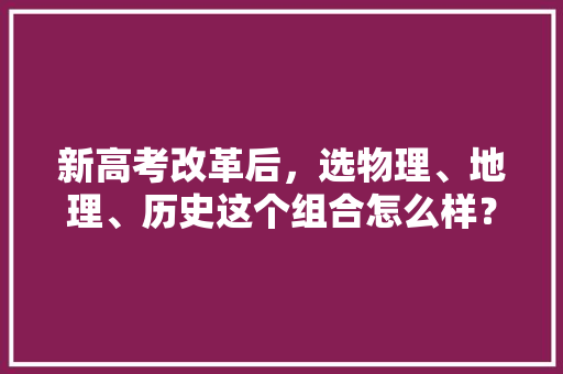 新高考改革后，选物理、地理、历史这个组合怎么样？你有什么看法，1995年公务员考试 教育科普