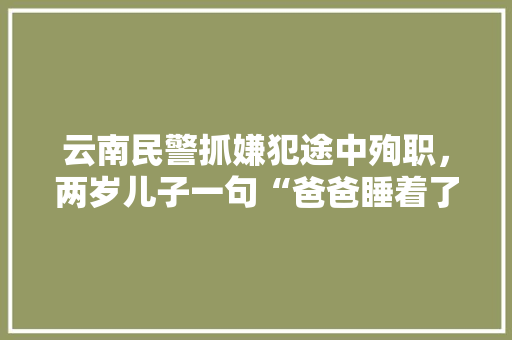 云南民警抓嫌犯途中殉职，两岁儿子一句“爸爸睡着了”让人泪目，你有被感动吗，会泽公务员考试题库及答案