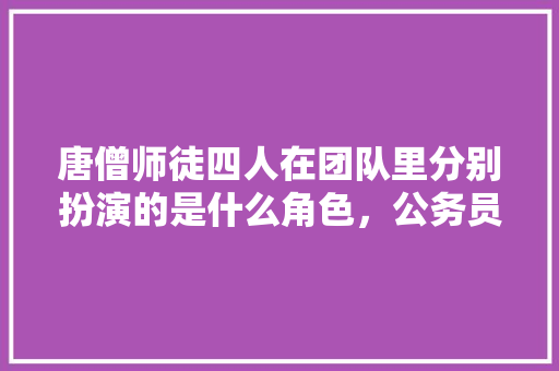 唐僧师徒四人在团队里分别扮演的是什么角色，公务员考试题嫦娥奔月变成啥 建筑考试