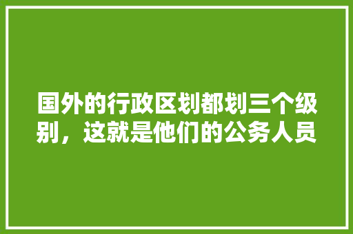 国外的行政区划都划三个级别，这就是他们的公务人员少的原因吗，欧洲公务员考试题目及答案 专业填报