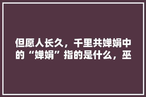 但愿人长久，千里共婵娟中的“婵娟”指的是什么，巫山公务员考试题及答案 建筑考试