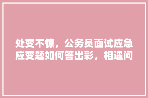 处变不惊，公务员面试应急应变题如何答出彩，相遇问题 公务员 大学排名