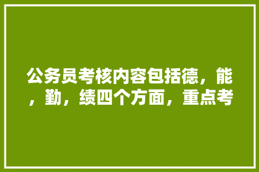 公务员考核内容包括德，能，勤，绩四个方面，重点考核哪个，公务员考试原题 专业填报