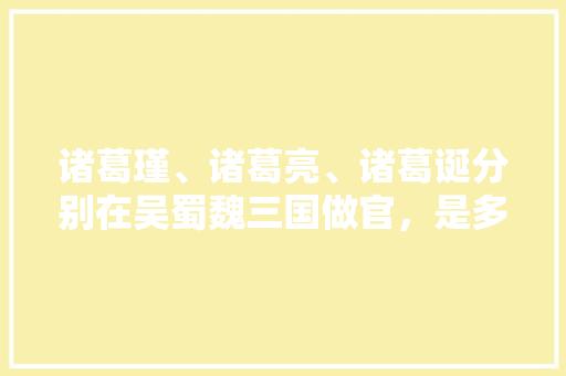 诸葛瑾、诸葛亮、诸葛诞分别在吴蜀魏三国做官，是多方投资吗，孔明答案 大学排名