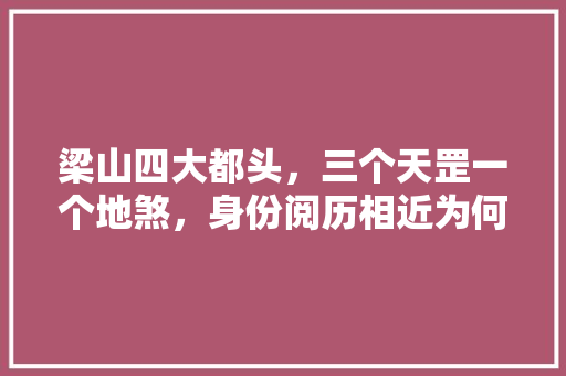 梁山四大都头，三个天罡一个地煞，身份阅历相近为何待遇却有天壤之别，梁山公务员好考吗 专业填报