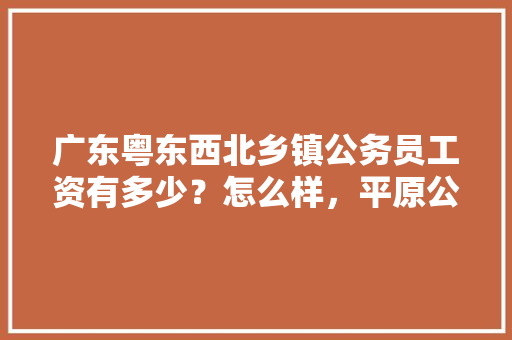 广东粤东西北乡镇公务员工资有多少？怎么样，平原公务员考试题库及答案 专业填报