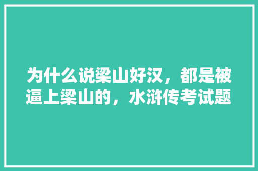 为什么说梁山好汉，都是被逼上梁山的，水浒传考试题型 专业填报