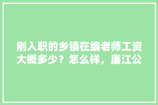 刚入职的乡镇在编老师工资大概多少？怎么样，廉江公务员考试题目 建筑考试