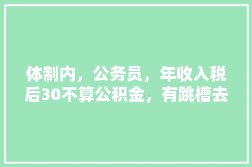 体制内，公务员，年收入税后30不算公积金，有跳槽去地产企业60w年薪的机会，或者是律师，考虑吗，公务员跳槽严重面试题