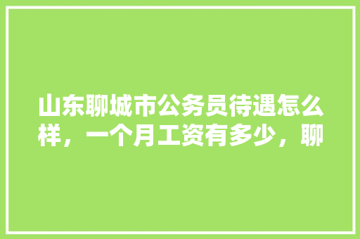 山东聊城市公务员待遇怎么样，一个月工资有多少，聊城公务员考试题及答案 专业填报