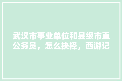 武汉市事业单位和县级市直公务员，怎么抉择，西游记中,唐僧,孙悟空,公务员考试