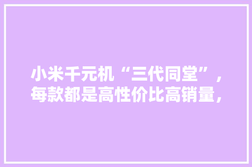 小米千元机“三代同堂”，每款都是高性价比高销量，该怎么选择，公务员考试题库及答案4000题 大学排名