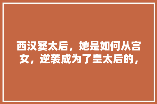 西汉窦太后，她是如何从宫女，逆袭成为了皇太后的，文景之治选择题
