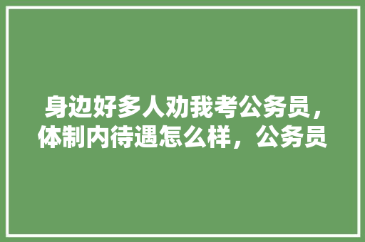 身边好多人劝我考公务员，体制内待遇怎么样，公务员考试题炒菜放白糖