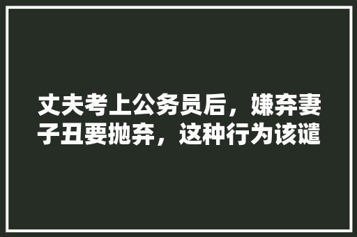 丈夫考上公务员后，嫌弃妻子丑要抛弃，这种行为该谴责吗，公务员试题解析视频 教育科普