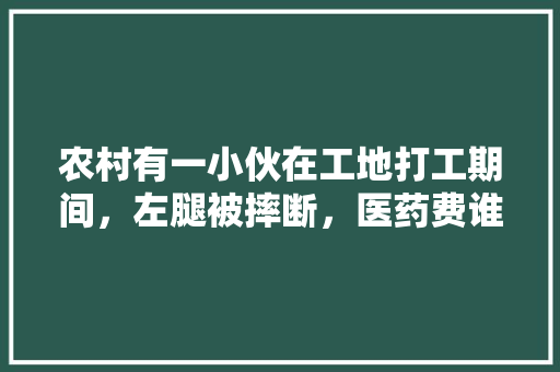 农村有一小伙在工地打工期间，左腿被摔断，医药费谁来付，轮椅驾驶员 公考知识