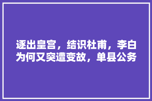 逐出皇宫，结识杜甫，李白为何又突遭变故，单县公务员考试题及答案